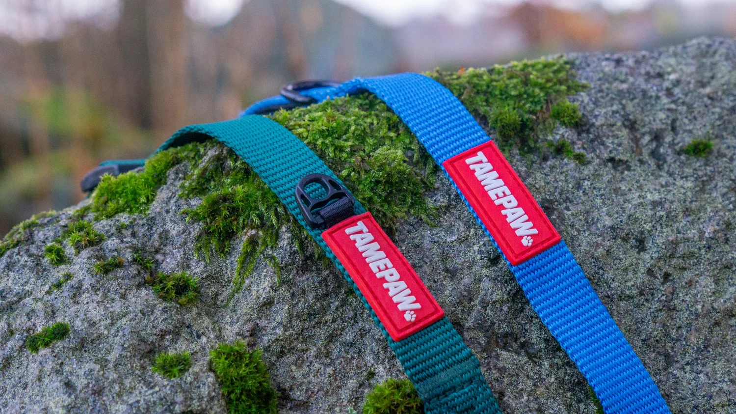 Tamepaw harnesses on a mossy rock